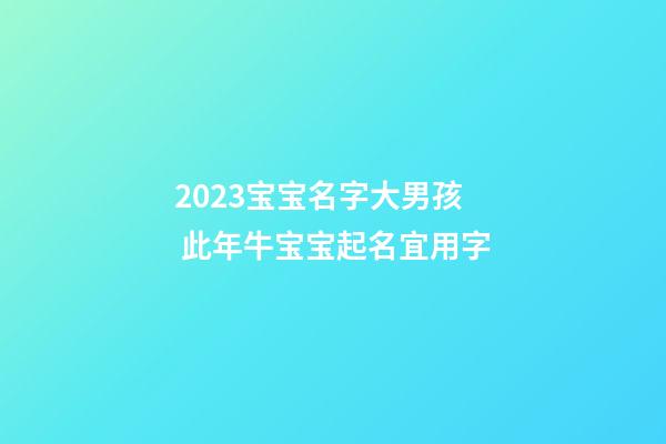 2023宝宝名字大男孩  此年牛宝宝起名宜用字